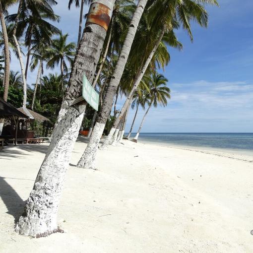 Find Getaway Bohol Hotels: Top 10 Luxury, Mid-range and Budget Hotels