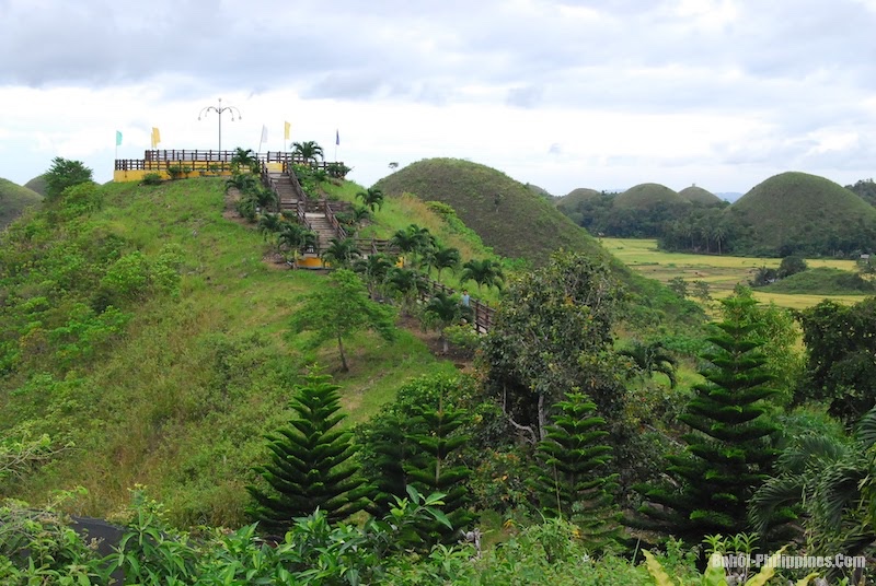 Chocolate Hills  Geology, Formation » Geology Science