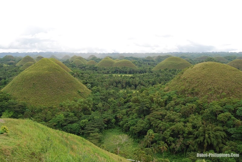 Chocolate Hills Natural Monument - All You Need to Know BEFORE You Go (with  Photos)
