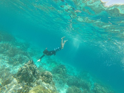 Bohol Diving - Excellent Philippine Diving