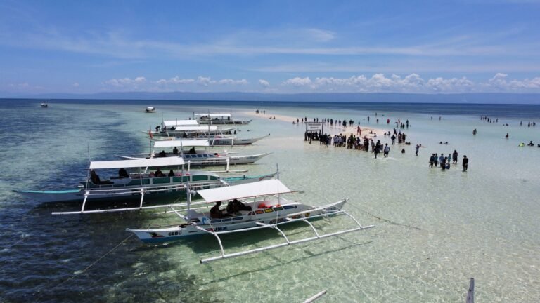 🚐 Getting Around Bohol in 2025: Transport Tips, Rides & Tours