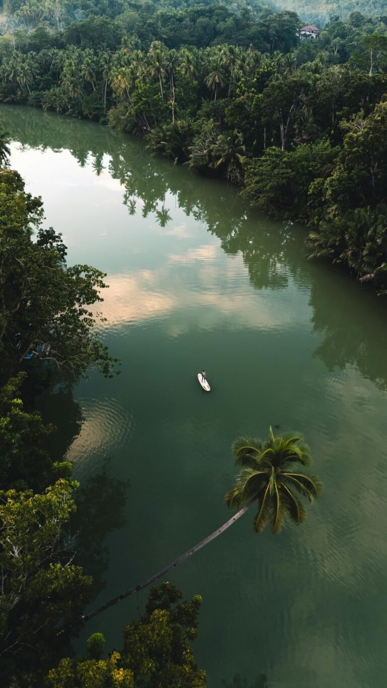 Best Loboc River Hotels for SUP, Cruises, and Nature Tours
