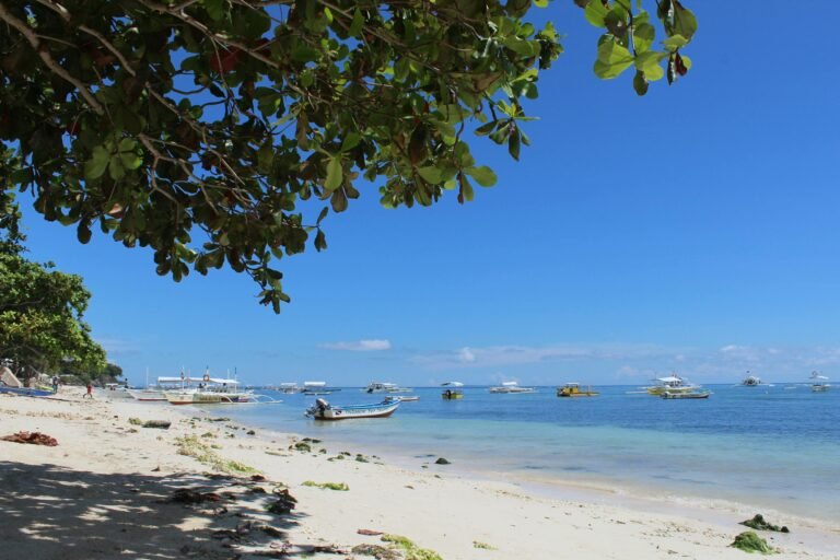 🧳 Bohol Hotels Package Tour Options – Customize Your Stay and Activities