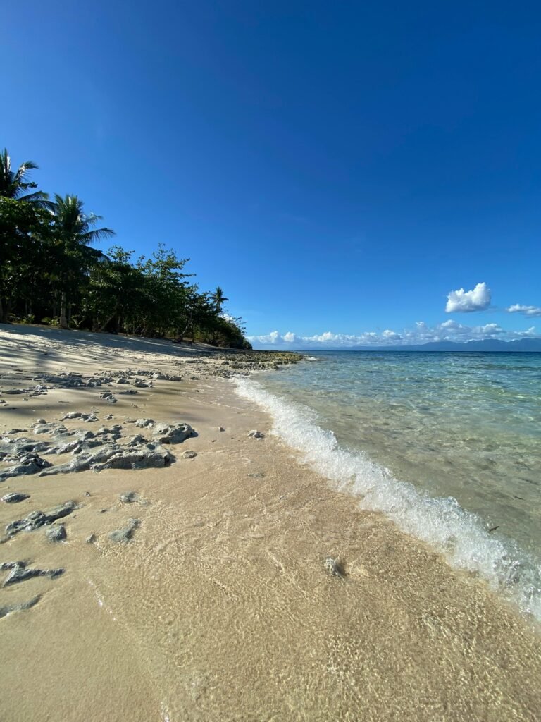 🌍 Best Day Tours from Bohol (Cebu, Pamilacan, Anda & More)