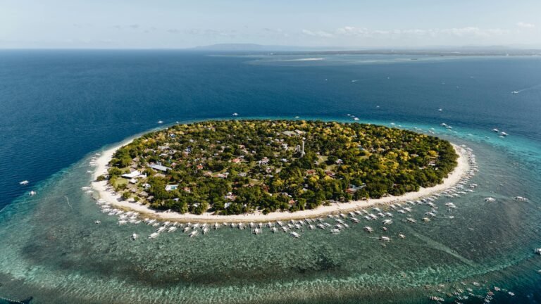 Explore Balicasag Island: Bohol's Marine Sanctuary Paradise 6 Explore Balicasag Island: Bohol’s Marine Sanctuary Paradise