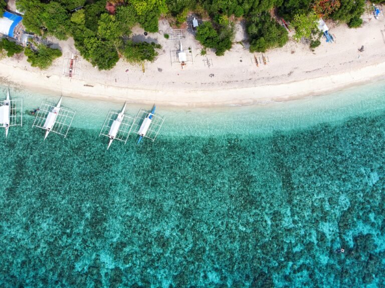 Top Bohol Beach Resorts for Island Lovers and Sun Seekers