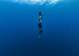 🌊 Top 10 Bohol Water Activities – Marine and Island Adventures