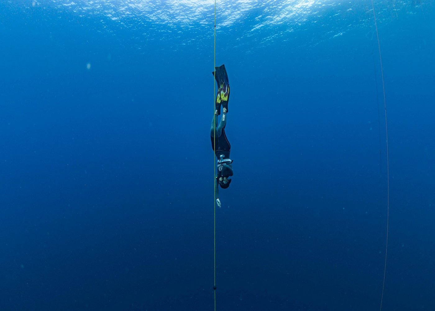 🌊 Top 10 Bohol Water Activities - Marine and Island Adventures 1 Gallery picture 2 from the experience provider 2