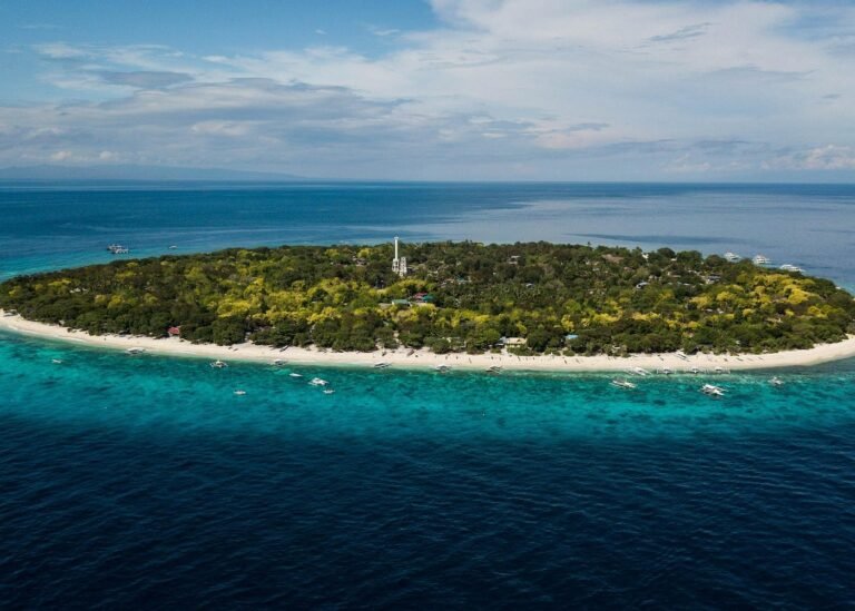 Balicasag Island Hopping