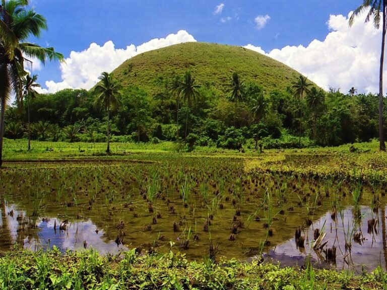 Bohol Countryside Tour with ATV Adventure: The Ultimate Adventure Review
