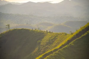 🏞️ Alicia Panoramic Park Tour: Bohol’s Hidden Hiking Gem
