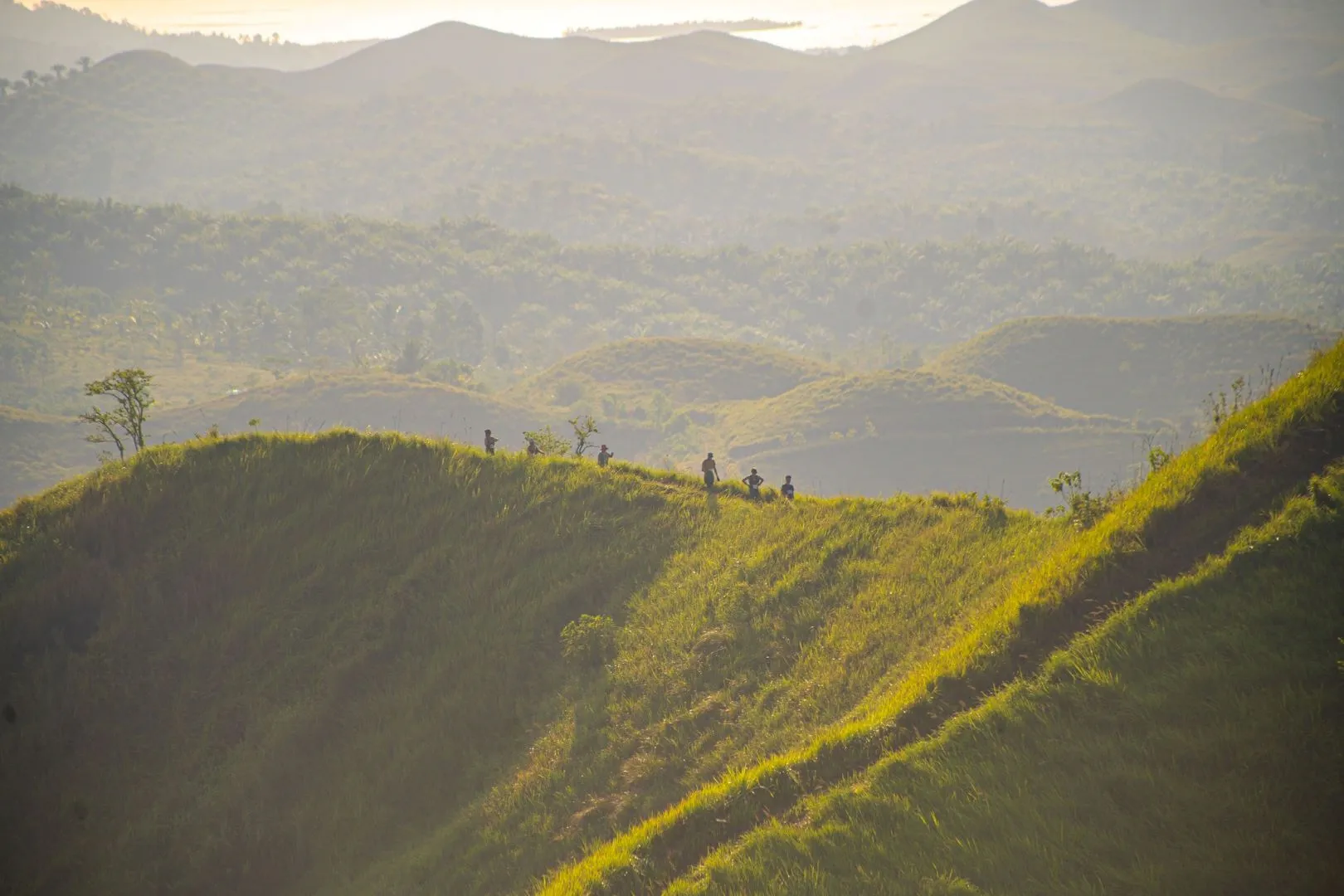 🏞️ Alicia Panoramic Park Tour: Bohol's Hidden Hiking Gem 1 Trail Run Behold Bohol 7