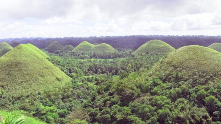 Chocolate Hills Tour Options in Bohol: Private, Shared, or DIY?