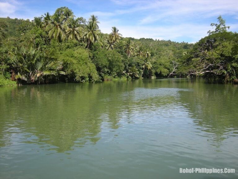 Exploring Loboc River: Bohol's Emerald Jewel 11 Exploring Loboc River: Bohol’s Emerald Jewel