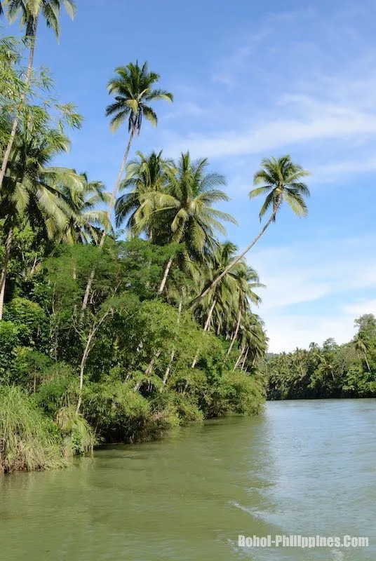 Top 9 Adventure Tours in Bohol and Cebu for Thrill-Seekers 10 bohol eho 1693 loboc river