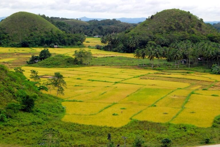 chocolate hills bohol philippines