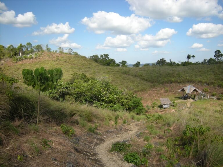 Top Bohol ATV Tour Adventures: Ride Around the Chocolate Hills