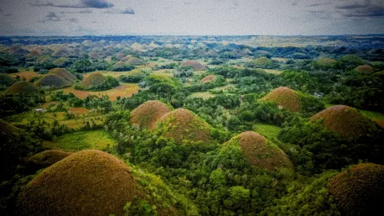 Exclusive 7-Day Cebu & Bohol Private Discovery