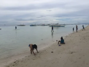 Things to Do in Cebu in March 2026: Hot Season Adventures & Shoulder Season Perks