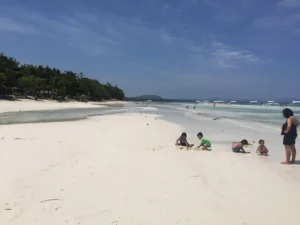 Best Alona Beach Hotels: Top 5 Beachfront Resorts for Island Hopping & Diving (2025)