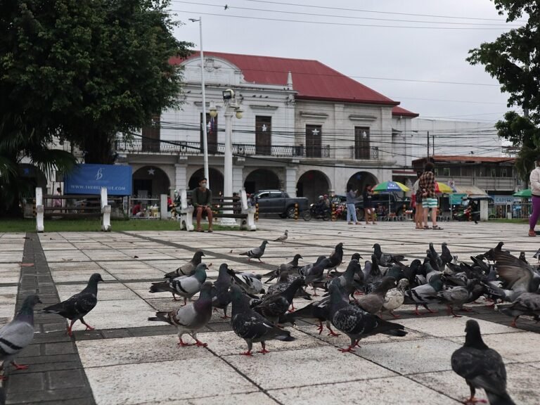 Tagbilaran City Travel Guide: Your Complete Gateway to Bohol’s Heart and Heritage