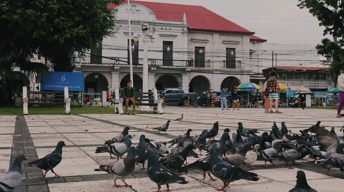 rizal plaza in front of the bohol museum and the cathedral