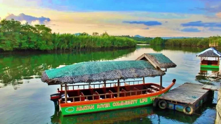 The Private Bohol Evening Firefly Watching Cruise