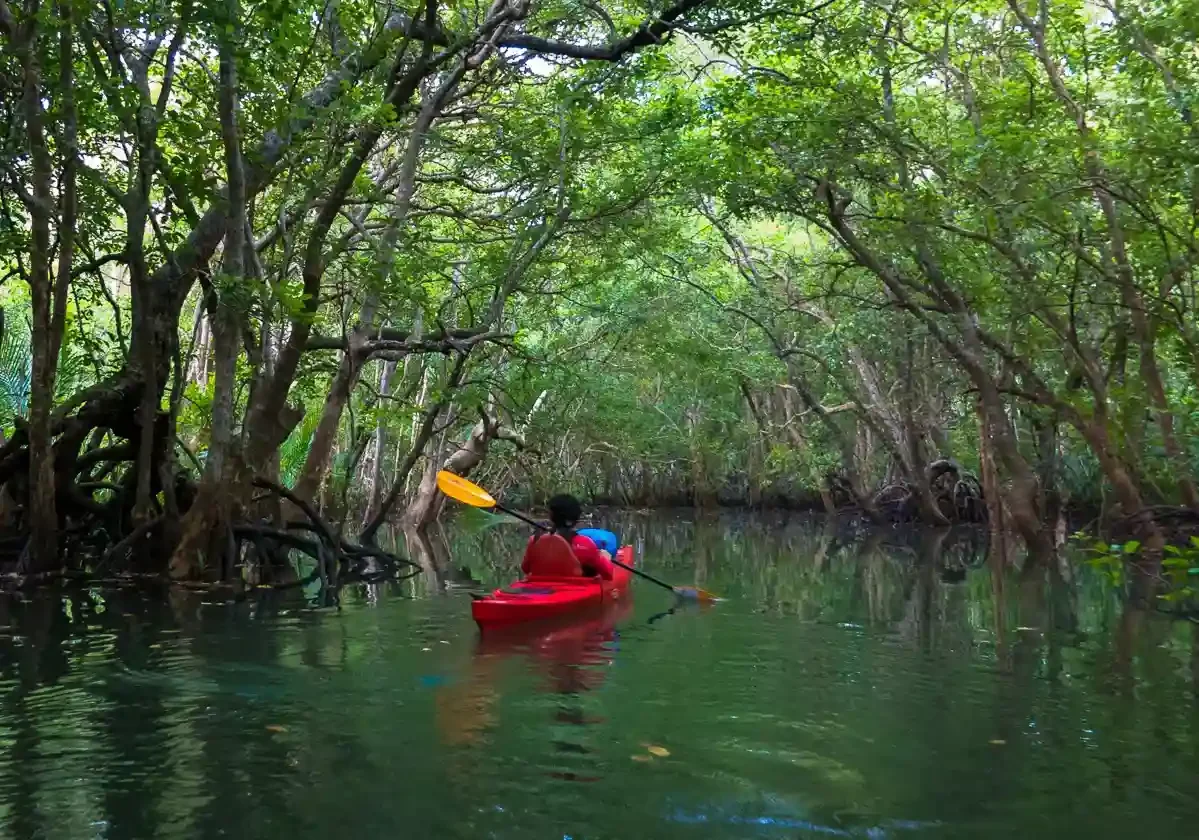 77 Epic Things to Do in Bohol: Your Ultimate Adventure Guide 43 bohol-abatan-river-firefly-kayaking