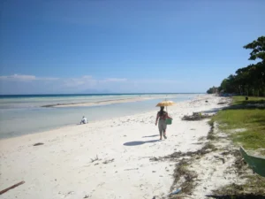 🌊 Best Anda Bohol Resorts for Quiet Beach Escapes