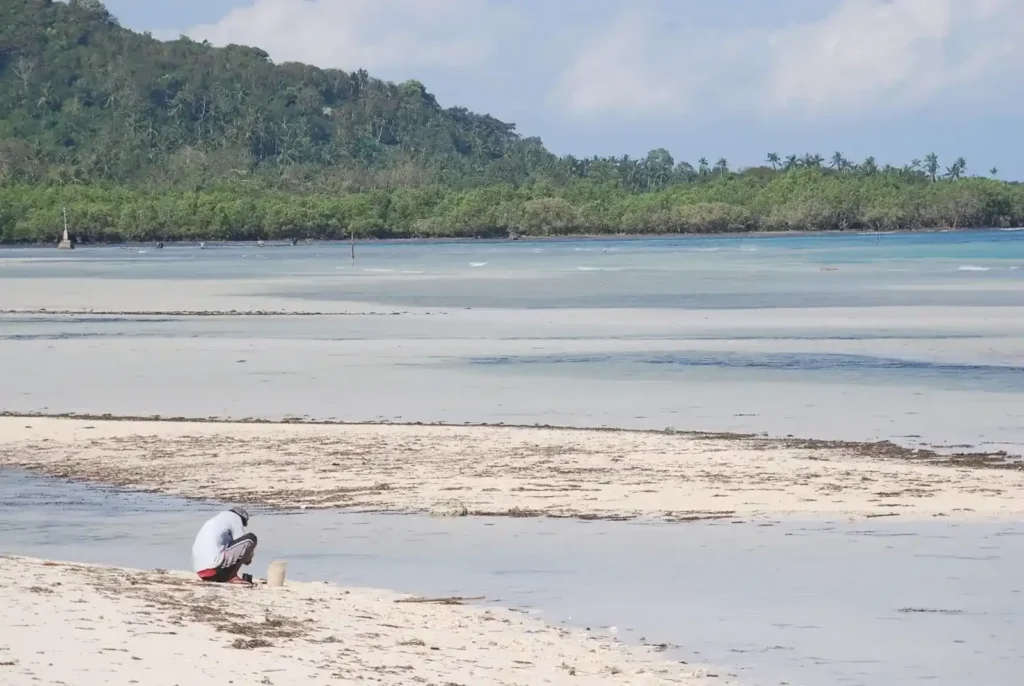 Bohol Bus Routes & Transport Guide: Navigate Paradise Like a Local in 2025 12 bohol anda beach park 020 2