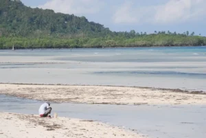 Anda Bohol