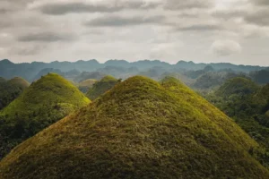 Chocolate Hills Tour Guide 2026: Private vs Shared vs DIY – Your Complete Planning Resource