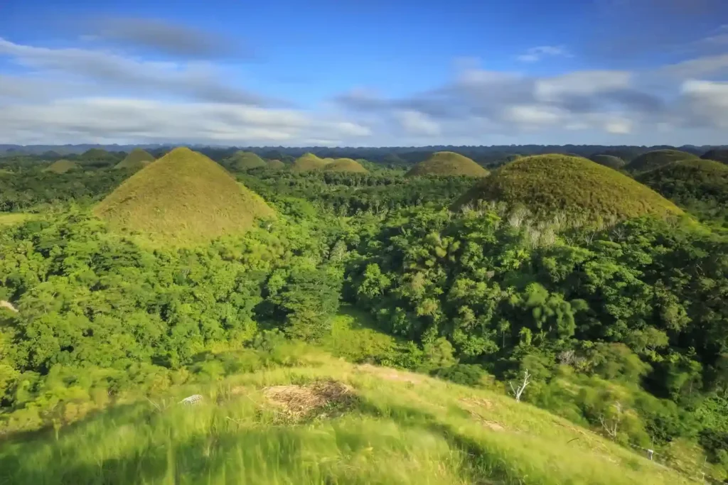 Ultimate Bohol Day Tour from Cebu: A Must-Do Adventure 2 bohol day tour from cebu