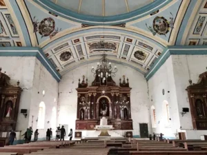 🌍 Best Day Tours from Bohol (Cebu, Pamilacan, Anda & More)