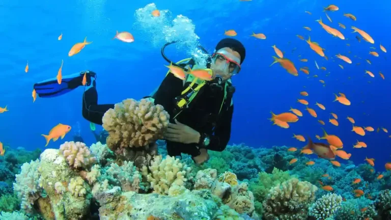 77 Epic Things to Do in Cebu and Bohol