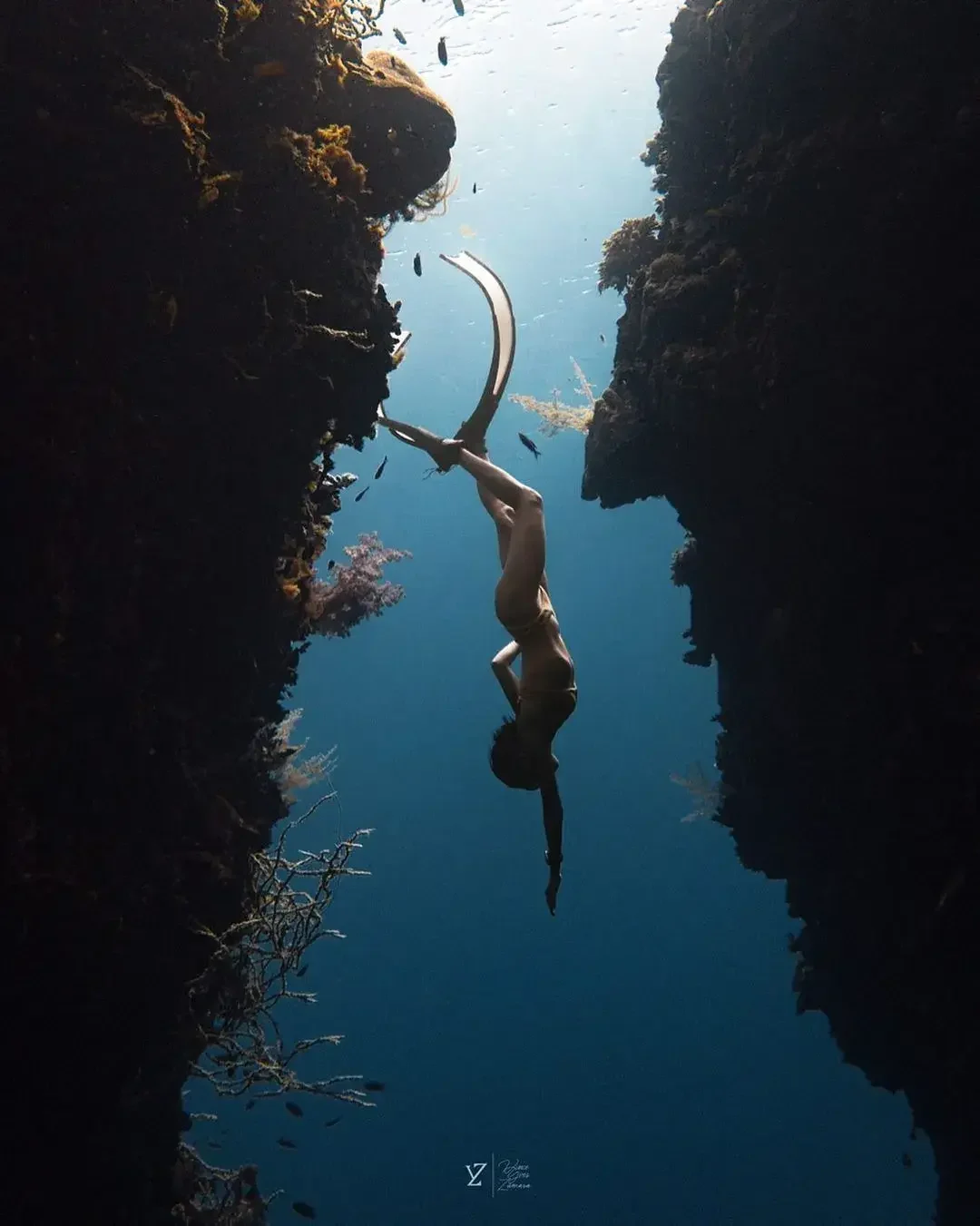bohol free diving moadto love dot