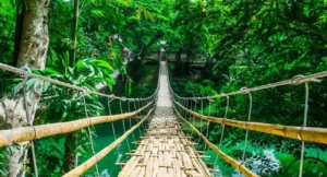 Sipatan Hanging Bridge: Bamboo Adventure Over Loboc River
