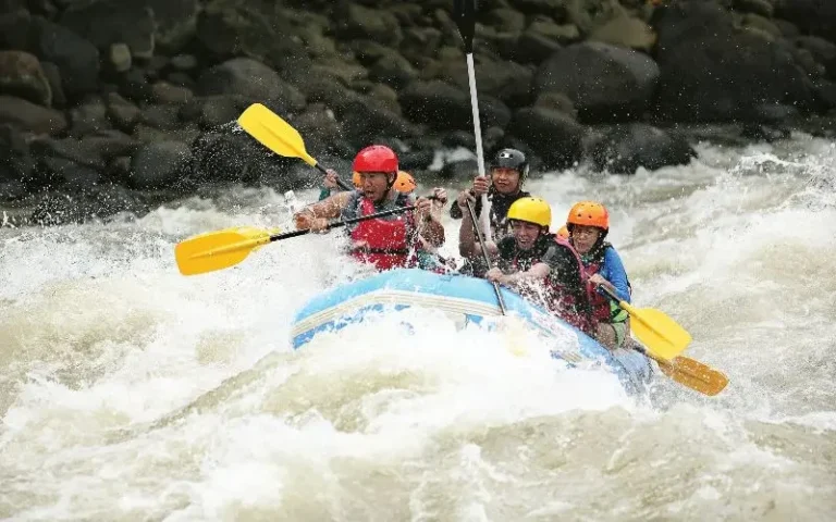 Top 9 Adventure Tours in Bohol and Cebu for Thrill-Seekers