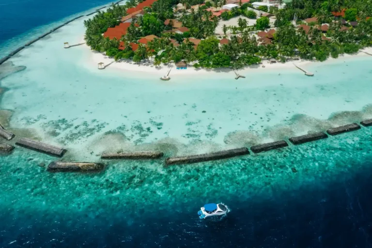 Things to Do in Bohol in July 2026: Sandugo Festival and Monsoon Adventure Guide 6 Things to Do in Bohol in July 2026: Sandugo Festival and Monsoon Adventure Guide