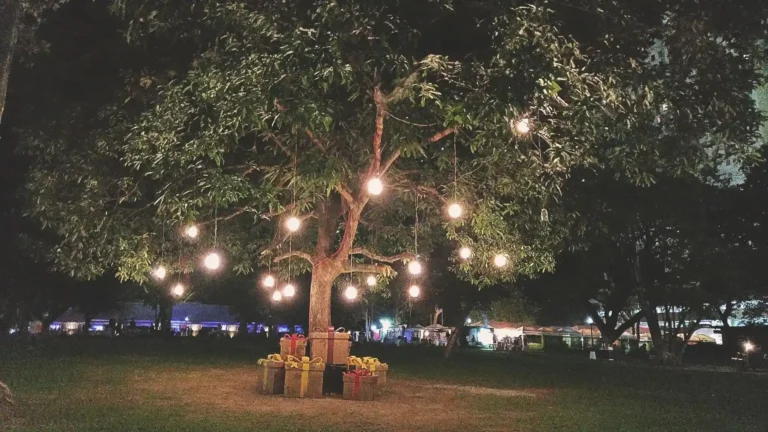 Things to Do in Cebu in November 2025: Peak Pleasant Weather & High Season Begins