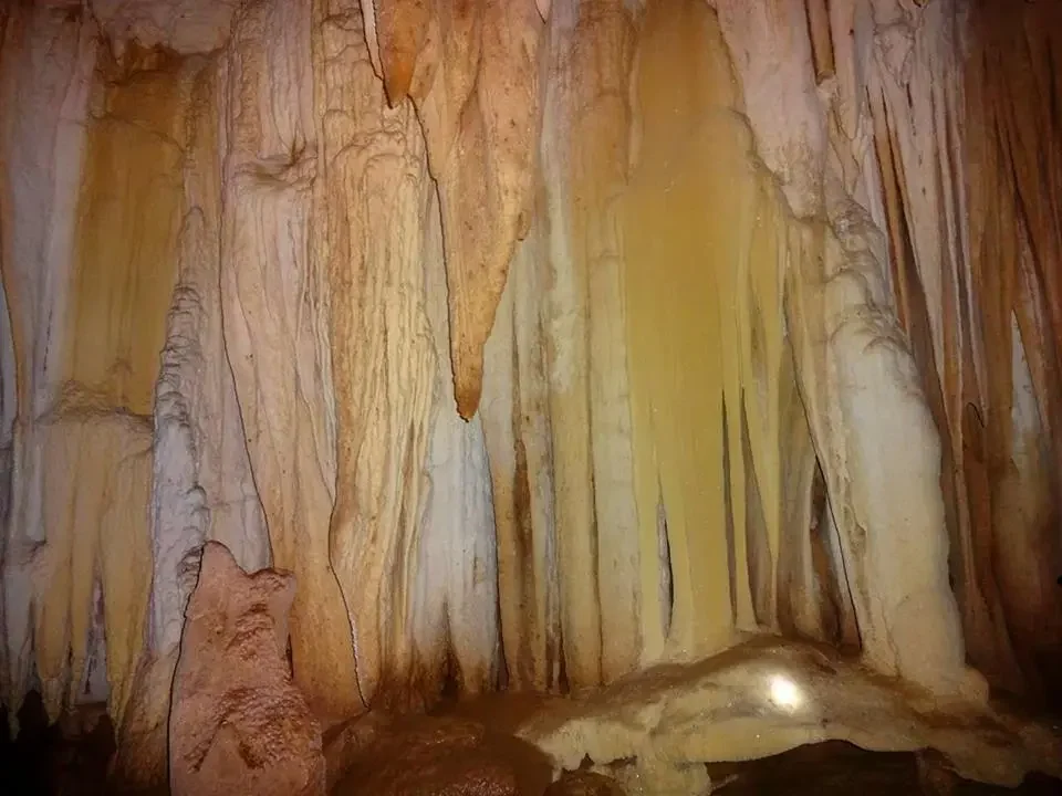 bohol cave
