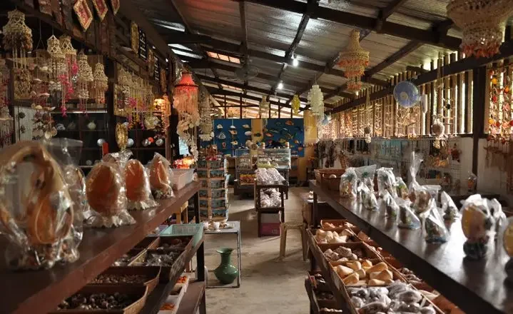 7 Best Cebu to Bohol Day Tours: Inter-Island Adventures Made Easy 9 bohol shell museum panglao dot