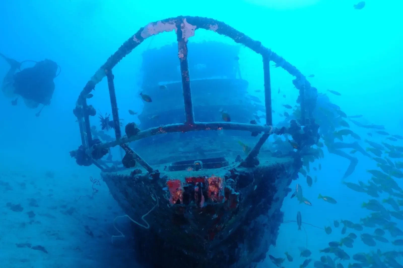 bohol sunken ship diving marine life 10