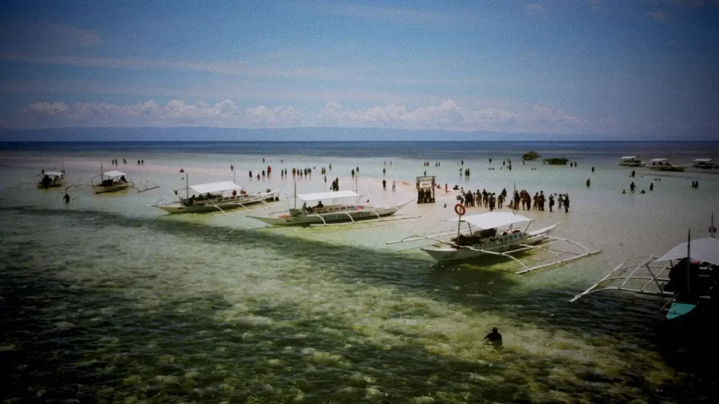 bohol-virgin-island-hopping-sandbar-