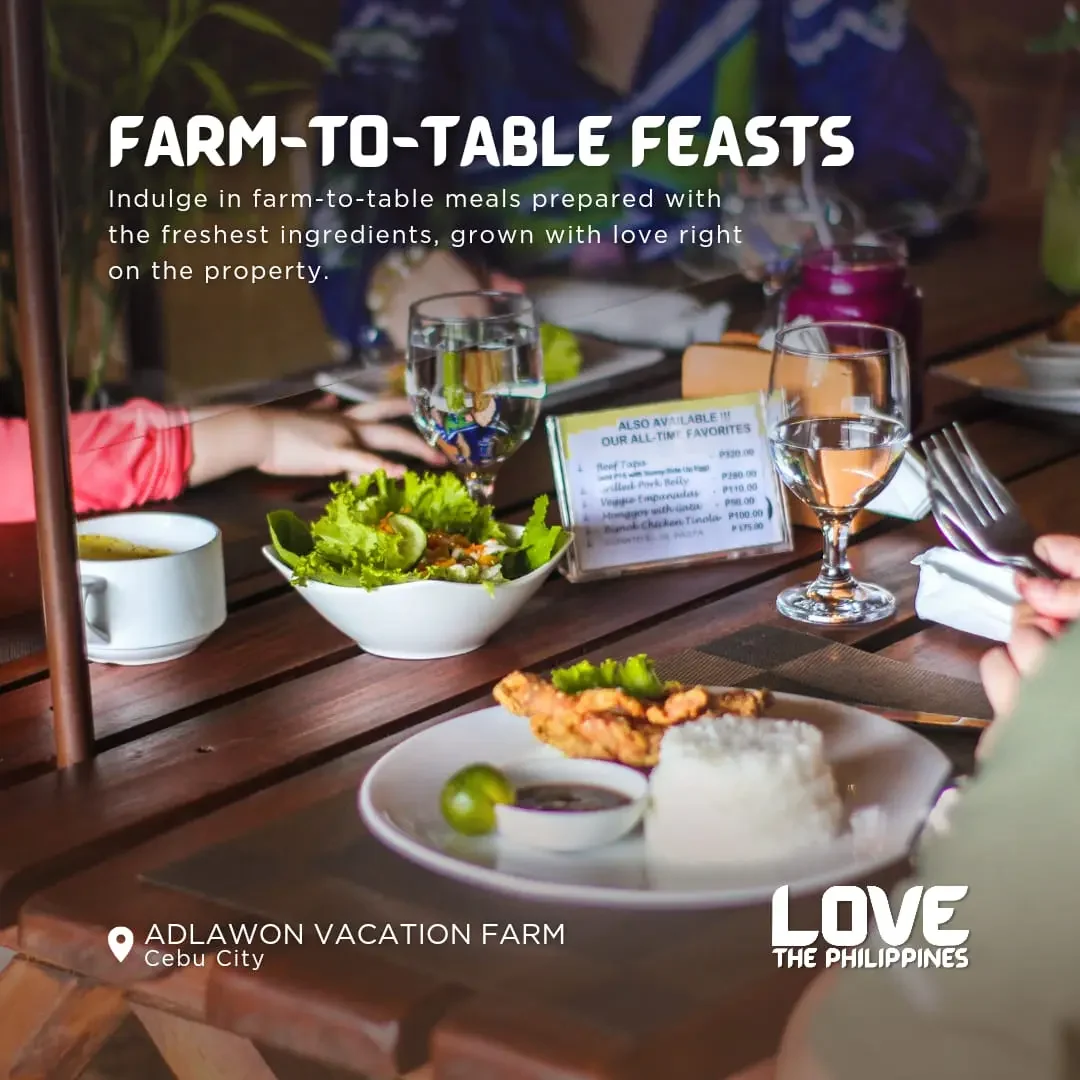cebu adlawon vacation farm to table love dot