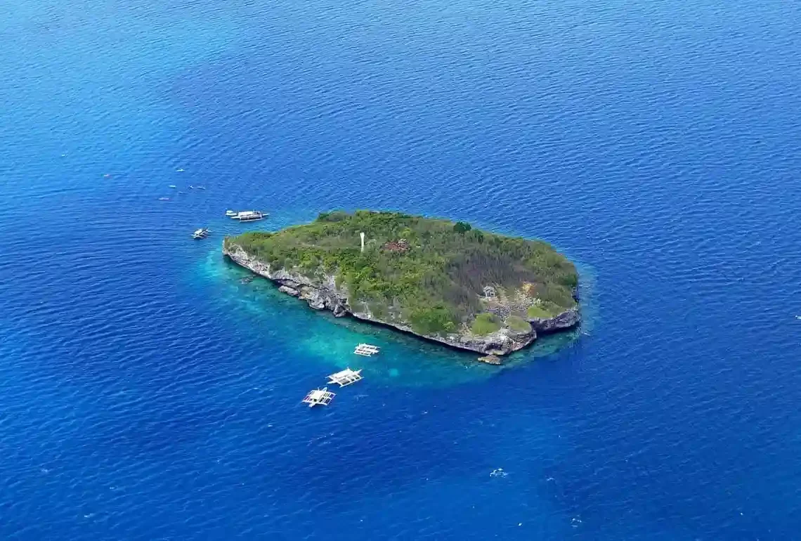 cebu island snorkeling