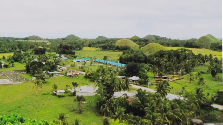 Bohol Countryside Tours