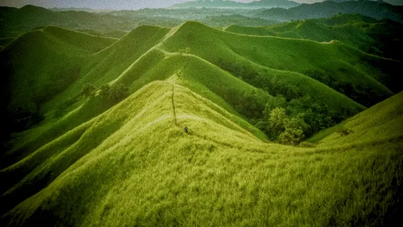 Top 10 Bohol Multi-Day Tour Packages: 2D1N, 3D2N & Cebu-Bohol Combos 12 green Alicia Panoramic Park Bohol by dot philippines