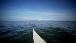 How to Book Pamilacan Island Dolphin Watching Tour