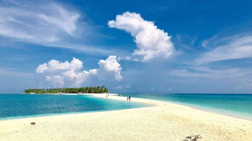 Top 5 Malapascua Diving Tours for Thresher Shark Encounters (2025 Guide) 6 kalanggaman-malapascua-island